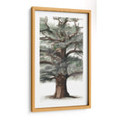 Composición De Árbol De Roble I - Naomi McCavitt | Cuadro decorativo de Canvas Lab