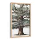 Composición De Árbol De Roble I - Naomi McCavitt | Cuadro decorativo de Canvas Lab