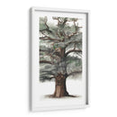 Composición De Árbol De Roble I - Naomi McCavitt | Cuadro decorativo de Canvas Lab