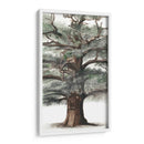 Composición De Árbol De Roble I - Naomi McCavitt | Cuadro decorativo de Canvas Lab