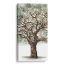 Composición De Árbol De Roble Ii - Naomi McCavitt | Cuadro decorativo de Canvas Lab