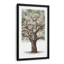 Composición De Árbol De Roble Ii - Naomi McCavitt | Cuadro decorativo de Canvas Lab