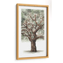 Composición De Árbol De Roble Ii - Naomi McCavitt | Cuadro decorativo de Canvas Lab