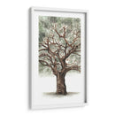 Composición De Árbol De Roble Ii - Naomi McCavitt | Cuadro decorativo de Canvas Lab