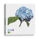 Brighton Blooms I - Naomi McCavitt | Cuadro decorativo de Canvas Lab