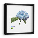 Brighton Blooms I - Naomi McCavitt | Cuadro decorativo de Canvas Lab