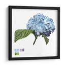 Brighton Blooms I - Naomi McCavitt | Cuadro decorativo de Canvas Lab