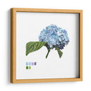 Brighton Blooms I - Naomi McCavitt | Cuadro decorativo de Canvas Lab