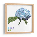 Brighton Blooms I - Naomi McCavitt | Cuadro decorativo de Canvas Lab