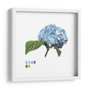 Brighton Blooms I - Naomi McCavitt | Cuadro decorativo de Canvas Lab