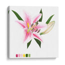 Brighton Blooms Ii - Naomi McCavitt | Cuadro decorativo de Canvas Lab