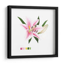 Brighton Blooms Ii - Naomi McCavitt | Cuadro decorativo de Canvas Lab