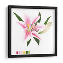 Brighton Blooms Ii - Naomi McCavitt | Cuadro decorativo de Canvas Lab