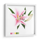 Brighton Blooms Ii - Naomi McCavitt | Cuadro decorativo de Canvas Lab