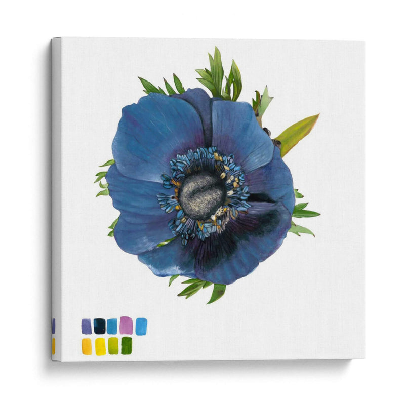 Brighton Blooms Iii - Naomi McCavitt | Cuadro decorativo de Canvas Lab