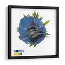 Brighton Blooms Iii - Naomi McCavitt | Cuadro decorativo de Canvas Lab