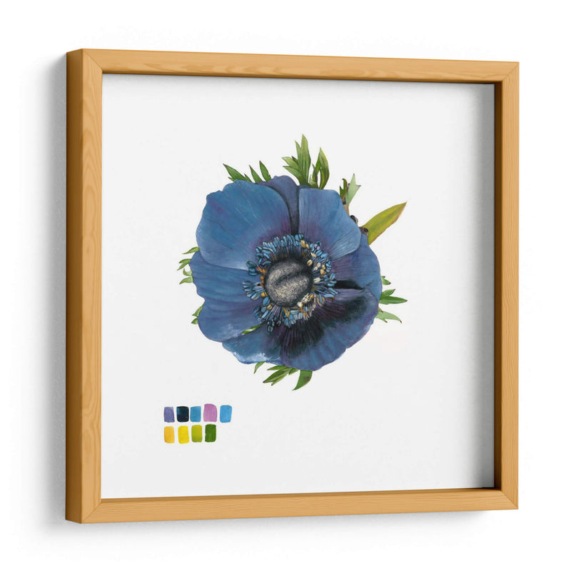 Brighton Blooms Iii - Naomi McCavitt | Cuadro decorativo de Canvas Lab