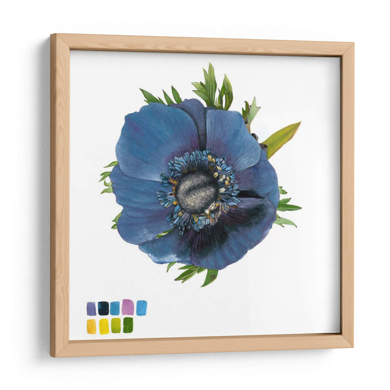 Brighton Blooms Iii - Naomi McCavitt | Cuadro decorativo de Canvas Lab