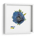 Brighton Blooms Iii - Naomi McCavitt | Cuadro decorativo de Canvas Lab