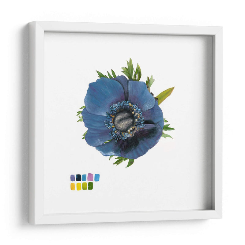 Brighton Blooms Iii - Naomi McCavitt | Cuadro decorativo de Canvas Lab