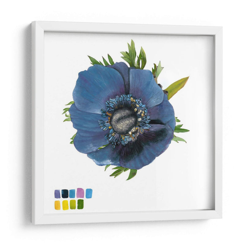 Brighton Blooms Iii - Naomi McCavitt | Cuadro decorativo de Canvas Lab