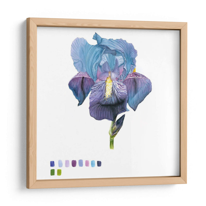 Brighton Blooms Iv - Naomi McCavitt | Cuadro decorativo de Canvas Lab