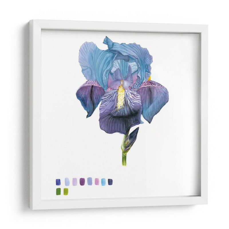 Brighton Blooms Iv - Naomi McCavitt | Cuadro decorativo de Canvas Lab