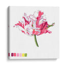 Brighton Blooms V - Naomi McCavitt | Cuadro decorativo de Canvas Lab