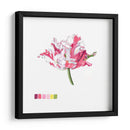 Brighton Blooms V - Naomi McCavitt | Cuadro decorativo de Canvas Lab