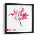 Brighton Blooms V - Naomi McCavitt | Cuadro decorativo de Canvas Lab