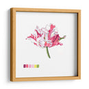 Brighton Blooms V - Naomi McCavitt | Cuadro decorativo de Canvas Lab