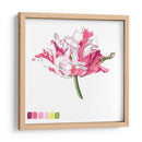 Brighton Blooms V - Naomi McCavitt | Cuadro decorativo de Canvas Lab