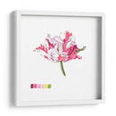 Brighton Blooms V - Naomi McCavitt | Cuadro decorativo de Canvas Lab