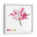 Brighton Blooms V - Naomi McCavitt | Cuadro decorativo de Canvas Lab