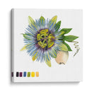 Brighton Blooms Vi - Naomi McCavitt | Cuadro decorativo de Canvas Lab