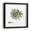Brighton Blooms Vi - Naomi McCavitt | Cuadro decorativo de Canvas Lab