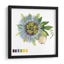 Brighton Blooms Vi - Naomi McCavitt | Cuadro decorativo de Canvas Lab