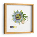 Brighton Blooms Vi - Naomi McCavitt | Cuadro decorativo de Canvas Lab