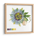 Brighton Blooms Vi - Naomi McCavitt | Cuadro decorativo de Canvas Lab