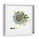 Brighton Blooms Vi - Naomi McCavitt | Cuadro decorativo de Canvas Lab