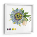Brighton Blooms Vi - Naomi McCavitt | Cuadro decorativo de Canvas Lab