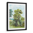 Papel Pintado Francés Escénico Ii - Naomi McCavitt | Cuadro decorativo de Canvas Lab