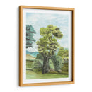 Papel Pintado Francés Escénico Ii - Naomi McCavitt | Cuadro decorativo de Canvas Lab