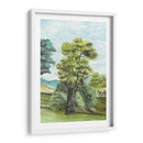 Papel Pintado Francés Escénico Ii - Naomi McCavitt | Cuadro decorativo de Canvas Lab