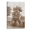 Papel De Pared Francés Sepia Ii - Naomi McCavitt | Cuadro decorativo de Canvas Lab