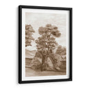 Papel De Pared Francés Sepia Ii - Naomi McCavitt | Cuadro decorativo de Canvas Lab