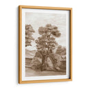 Papel De Pared Francés Sepia Ii - Naomi McCavitt | Cuadro decorativo de Canvas Lab