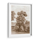 Papel De Pared Francés Sepia Ii - Naomi McCavitt | Cuadro decorativo de Canvas Lab