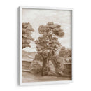 Papel De Pared Francés Sepia Ii - Naomi McCavitt | Cuadro decorativo de Canvas Lab