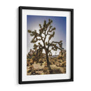 Vistas Del Árbol Joshua I - Rachel Perry | Cuadro decorativo de Canvas Lab